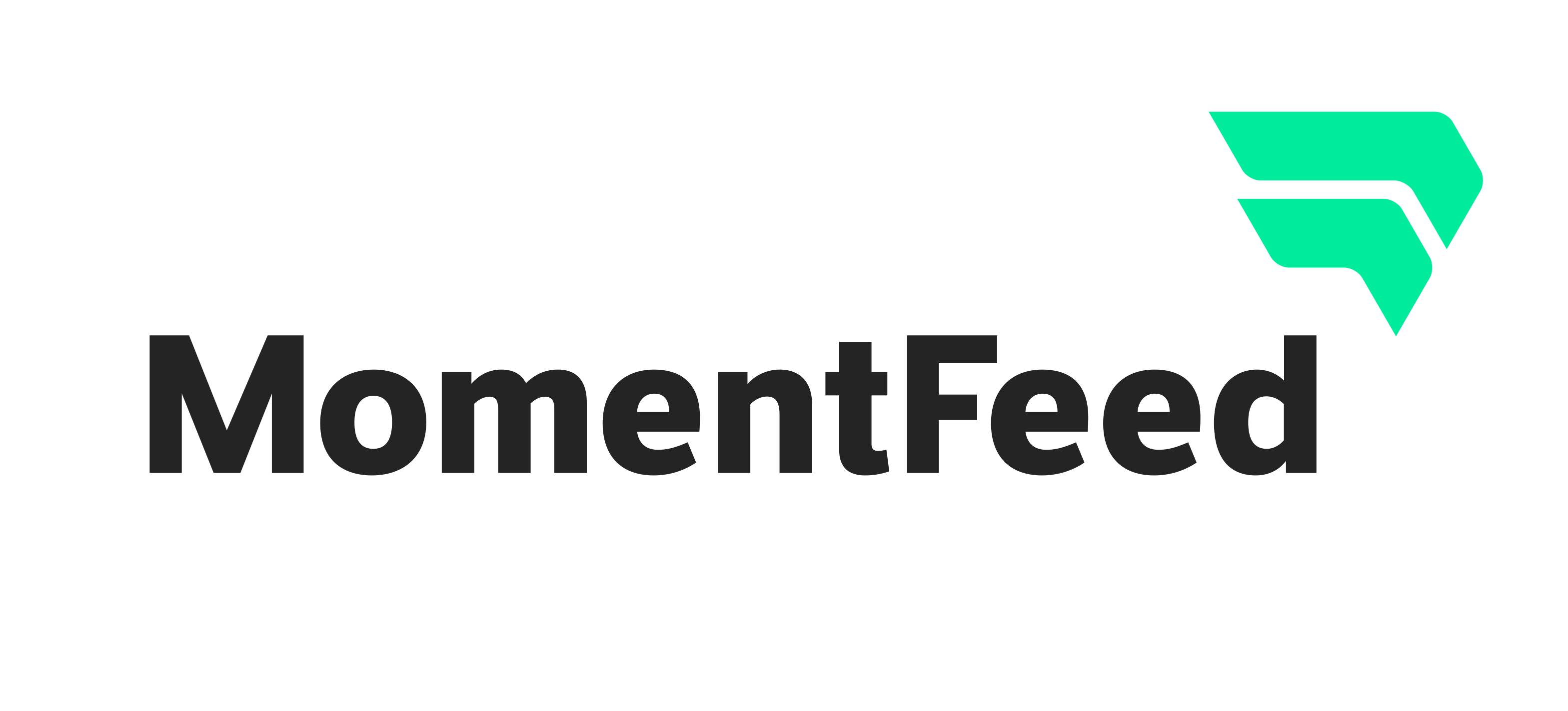 Momentfeed